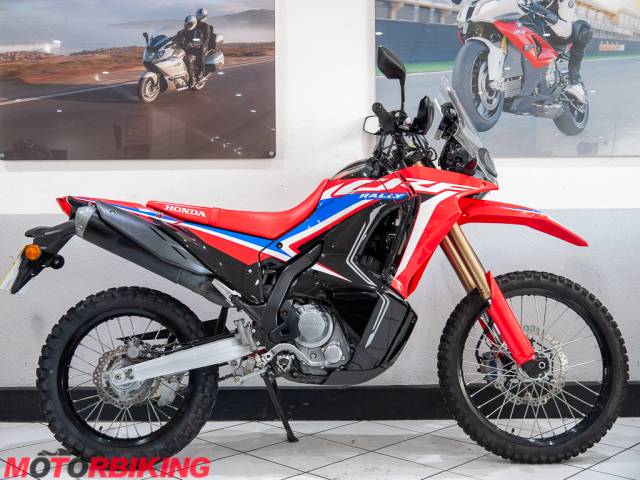 2022 Honda CRF300L RALLY Photo #1