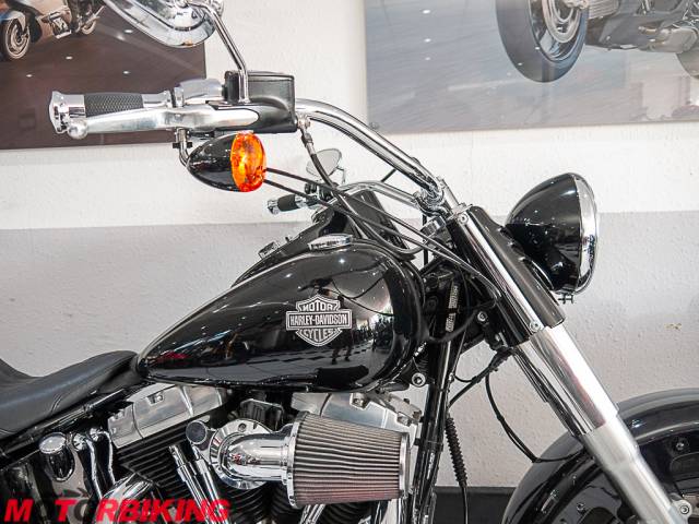 2015 Harley-Davidson FLS SOFTAIL SLIM  Photo #2