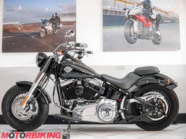 2015 Harley-Davidson FLS SOFTAIL SLIM  Photo #8
