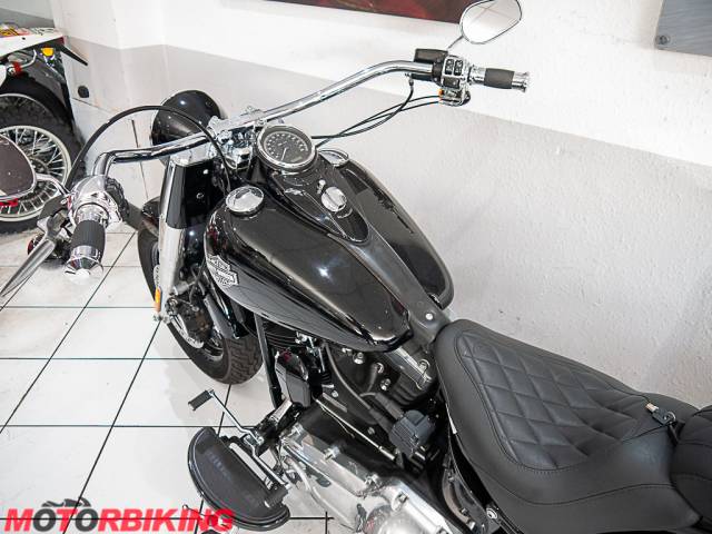 2015 Harley-Davidson FLS SOFTAIL SLIM  Photo #10