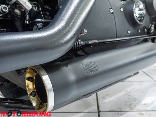 2021 Harley-Davidson SPORSTER XL1200 NS IRON Photo #4