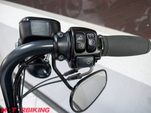 2021 Harley-Davidson SPORSTER XL1200 NS IRON Photo #28