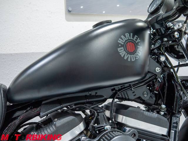 2021 Harley-Davidson SPORTSTER 883 IRON Photo #13