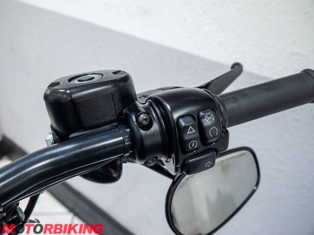 2021 Harley-Davidson SPORTSTER 883 IRON Photo #29