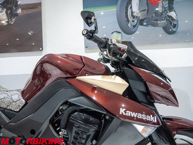 2010 Kawasaki Z1000 DAF Photo #8