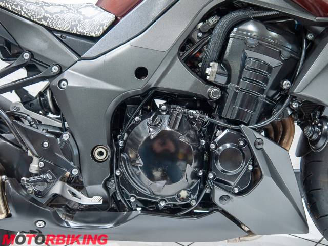 2010 Kawasaki Z1000 DAF Photo #9