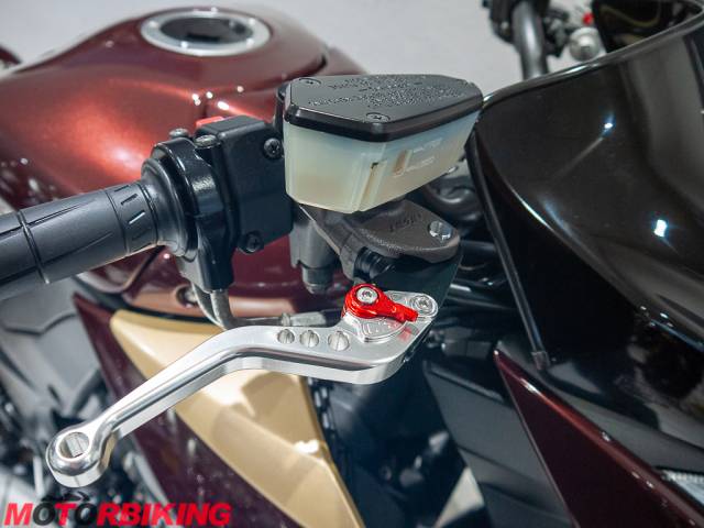 2010 Kawasaki Z1000 DAF Photo #19