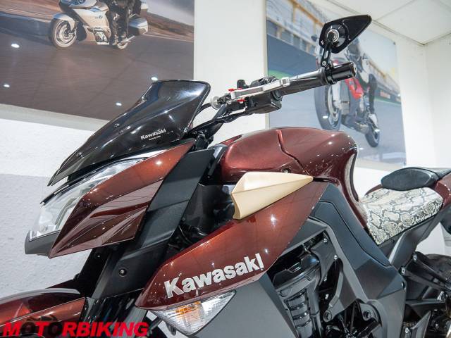 2010 Kawasaki Z1000 DAF Photo #24