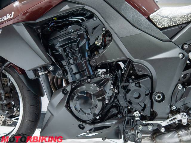 2010 Kawasaki Z1000 DAF Photo #25