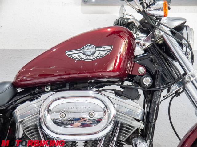 2003 Harley-Davidson XLH883 SPORTSTER 1200cc Conversion - 100th Anniversary Photo #3
