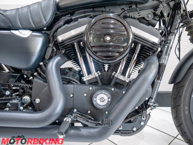 2020 Harley-Davidson SPORTSTER 883 IRON Photo #5