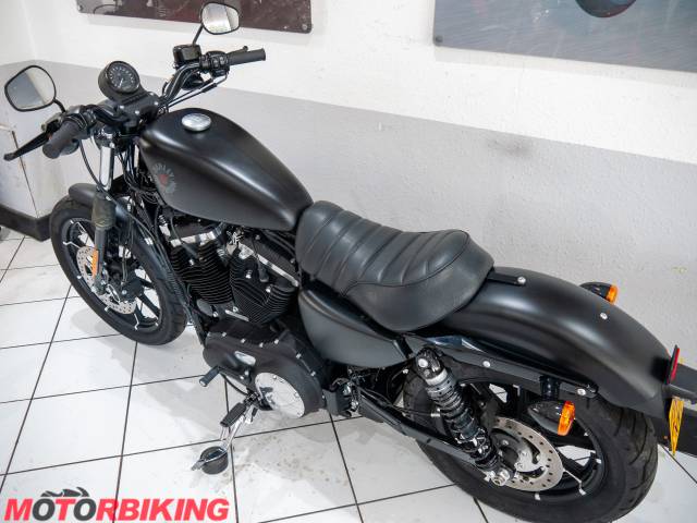 2020 Harley-Davidson SPORTSTER 883 IRON Photo #24