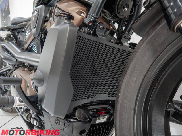 2022 Harley-Davidson SPORTSTER S Photo #9