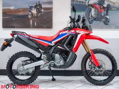 Photo of 2022 Honda CRF300L RALLY 