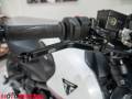 2022 Triumph TRIDENT 660 Photo #4