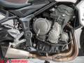 2022 Triumph TRIDENT 660 Photo #6