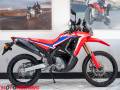 2022 Honda CRF300L RALLY Photo #1