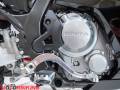 2022 Honda CRF300L RALLY Photo #7