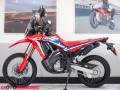 2022 Honda CRF300L RALLY Photo #11