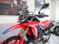 2022 Honda CRF300L RALLY Photo #13