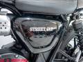2017 Triumph STREET CUP Photo #22