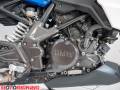 2021 BMW G310R Photo #7