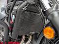 2019 Kawasaki 650 VULCAN S Photo #7