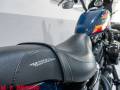 2021 Harley-Davidson SPORSTER XL1200 NS IRON Photo #12