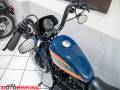 2021 Harley-Davidson SPORSTER XL1200 NS IRON Photo #25
