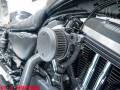 2021 Harley-Davidson SPORTSTER 883 IRON Photo #5