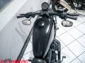 2021 Harley-Davidson SPORTSTER 883 IRON Photo #15