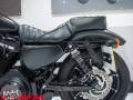 2021 Harley-Davidson SPORTSTER 883 IRON Photo #25
