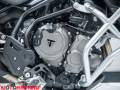 2021 Triumph TIGER 850 SPORT Photo #16