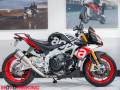 2016 Aprilia TUONO V4 1100  FACTORY Photo #1