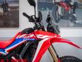 2022 Honda CRF300L RALLY Photo #3