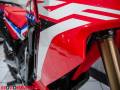2022 Honda CRF300L RALLY Photo #11