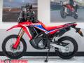 2022 Honda CRF300L RALLY Photo #26