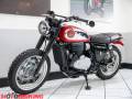 2023 BSA GOLD STAR 650 Photo #17