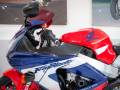 2002 Honda CBR900RR FIREBLADE (RR-Y 929cc) Photo #22