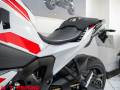 2025 BMW M1000 XR Photo #26