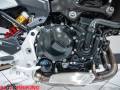 2021 BMW F900R SE Photo #10