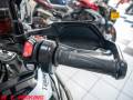 2022 Triumph TIGER 900 GT PRO Photo #19