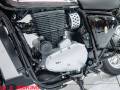 2024 BSA GOLDSTAR 650 Photo #23