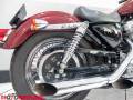2003 Harley-Davidson XLH883 SPORTSTER 1200cc Conversion - 100th Anniversary Photo #16