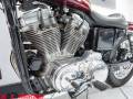 2003 Harley-Davidson XLH883 SPORTSTER 1200cc Conversion - 100th Anniversary Photo #24