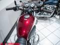 2016 Kawasaki W800  EJ800 AFF Photo #14