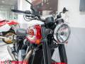 2023 BSA GOLD STAR 650 Photo #3