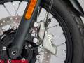 2021 Triumph STREET SCRAMBLER 900 Photo #21