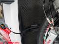 2020 Ducati STREETFIGHTER V4 Photo #13