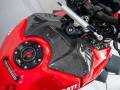 2020 Ducati STREETFIGHTER V4 Photo #15